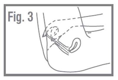 Figure 3 (Image 04)