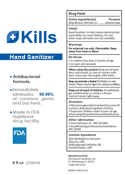 handsanitizer-01.jpg Principal Display Panel - 236 mL Bottle Label - handsanitizer 01