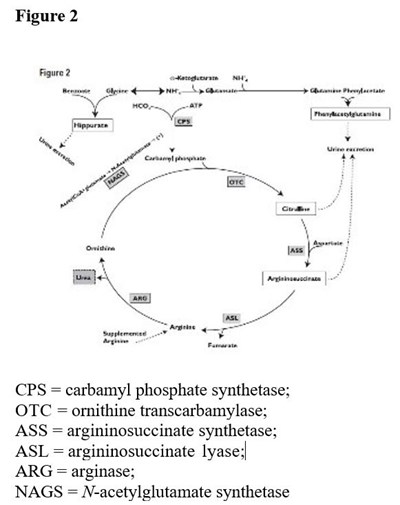 figure-2.jpg Figure 2 - figure 2