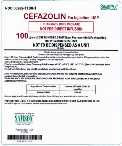 Principal Display Panel – 100 G Outer Bag Label (Cefazolin 100g Outer Bag)