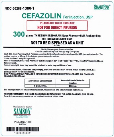 Principal Display Panel – 300 G Outer Bag Label (Cefazolin 300g Outer Bag)