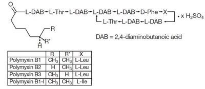 Polymyxinb (Polymyxinb)