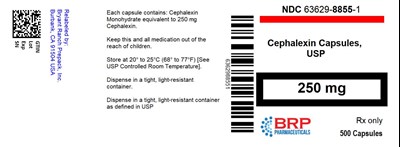 Label (Lbl636298855)