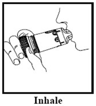 Figure 5 (Pulmicortflexhaler Figurefive 01)