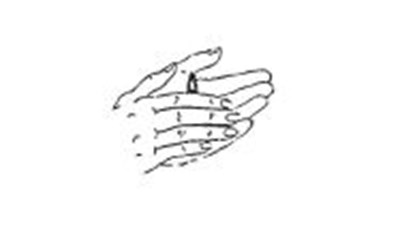 Figure (D0125acf 1879 452d Ba29 C0f753653789 03)