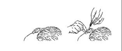 Figure (D0125acf 1879 452d Ba29 C0f753653789 04)