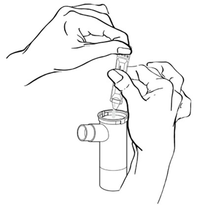 1 (Image 8)