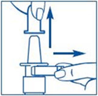 Figure B - synarel 18