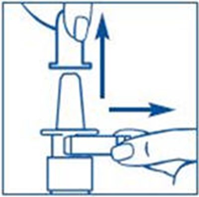 Figure G - synarel 23