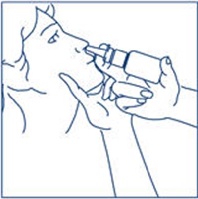 Figure H - synarel 24