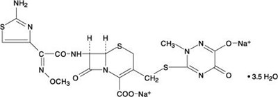 Ceftriaxone Vial 01