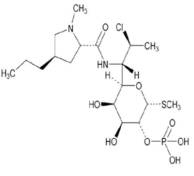 Structure.jpg (Evoclin 1)