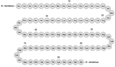 Figure 1 - natpara 01