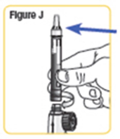 Figure J - natpara 13