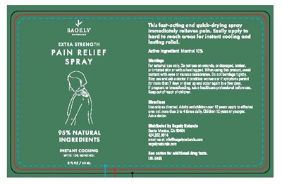 SN_ES_PainReliefSpray_LBL-5485_111821_OL-page-001.jpg SN ES PainReliefSpray LBL 5485 111821 OL page 001