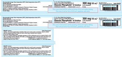 PRINCIPAL DISPLAY PANEL - 300 mg/50 mL Bag Box Label - cleocin 10