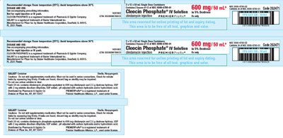 PRINCIPAL DISPLAY PANEL - 600 mg/50 mL Bag Box Label - cleocin 12