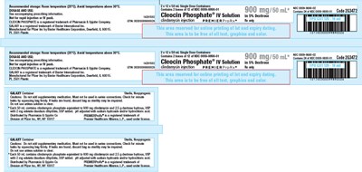 PRINCIPAL DISPLAY PANEL - 900 mg/50 mL Bag Box Label - cleocin 14