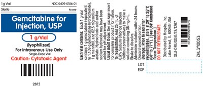PRINCIPAL DISPLAY PANEL - 1 g Vial Label - gemcitabine 09