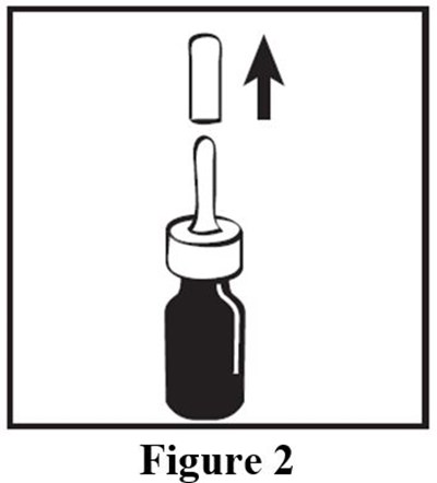 Figure-2.jpg (Figure 2)