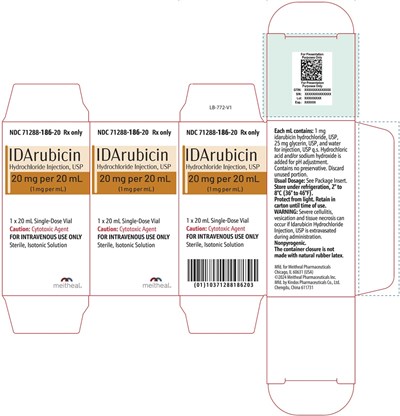 20mg-carton.jpg PACKAGE LABEL.PRINCIPAL DISPLAY PANEL - Idarubicin Hydrochloride Injection, USP 20 mg per 20 mL Carton - 20mg carton