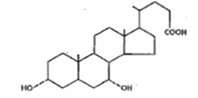 Chenodeoxycholic Acid Molecular Structure (8ba63d22 Cb7b 4185 B212 Fa1d6b295c8a 01)