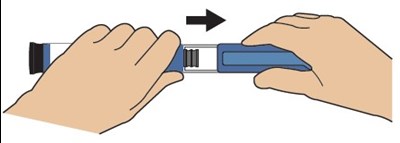 Step1 (Teriparatidestep1)