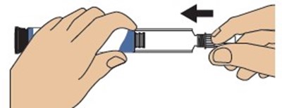 Step2b (Teriparatidestep2b)