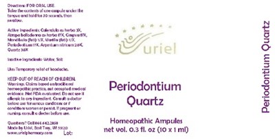 Periodontiumquartzampules