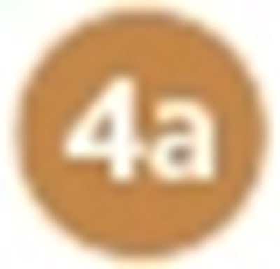Step 4a (Myalept 52)