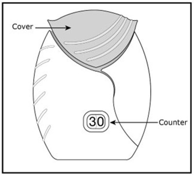 Figure C (Fluticasone Furoate Ellipta Spl Graphic 11)