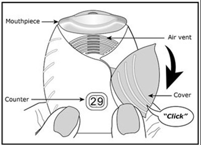 Figure D (Fluticasone Furoate Ellipta Spl Graphic 12)