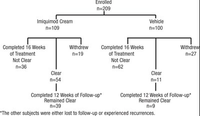 Figure 1 - imi00 0004 02