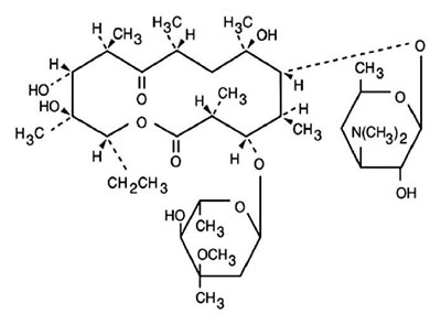 Label (Erythromycin Sf)