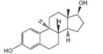 estra-structure - estra structure