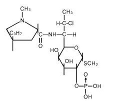 Chemical Structure (Clindamycin Str)