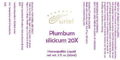PlumbumSilicicum20Liquid.jpg PlumbumSilicicum20Liquid