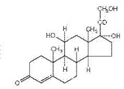 6c742084-figure-01 (6c742084 Figure 01)
