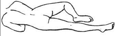 Assume The Correct Body Position Image #1 (Image 04)