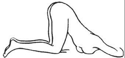 Assume The Correct Body Position Image #2 (Image 05)