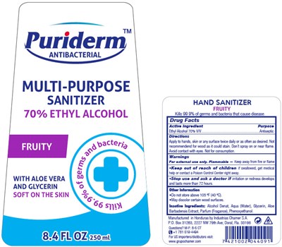 Principal Display Panel - 250 ml Bottle Label - FRUITY - puriderm 02