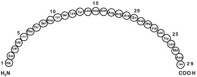 Primary Sequence Of Glucagon (Glucagon F001 V01)