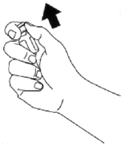 Figure (Glucagon F003 V01)