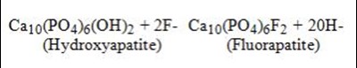The reaction may be expressed by the equation: (Hydroxyapatite) (Fluorapatite) - multi vitamin drops with fluoride and iron 0 25 mg 01