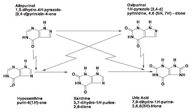 allopurinol-fig1 - allopurinol fig1