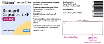 ramipril-fig4.jpg PACKAGE LABEL-PRINCIPAL DISPLAY PANEL - 10 mg (100 Capsule Bottle) - ramipril fig4