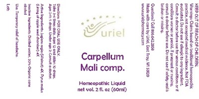 Carpellummalicompliquid (Carpellummalicompliquid)