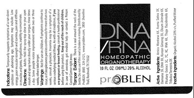Dna Rna (Mm1)