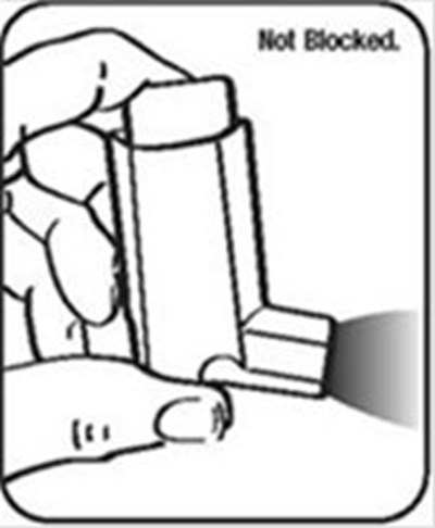Figure H (Albuterol Sulfate Hfa N021457 12)