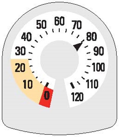80 (308710 Rapihaler Counter 80 (black 130 485))